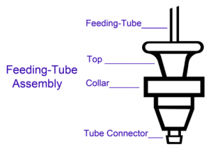 Feeding-Tube Assembly